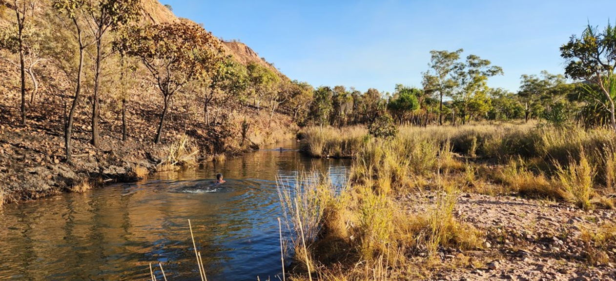 The Wuggubun Aboriginal Community Campground about 40 kms west of Kununurra in the east Kimberley is a quiet, scenic and spacious facility with a spring fed creek and lots of birdlife. Image credit: Craig & Maria/ ExplorOz