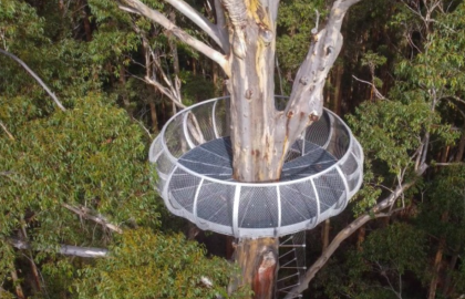 Calling all climbing enthusiasts! The new Gloucester Tree platform is now open.