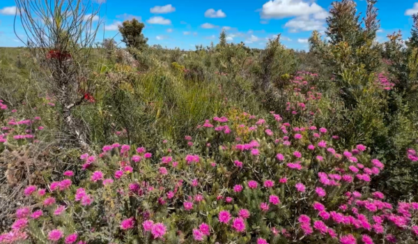 Midwest conservation partnership strengthens conservation outcomes.