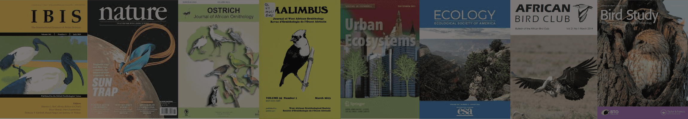 publications