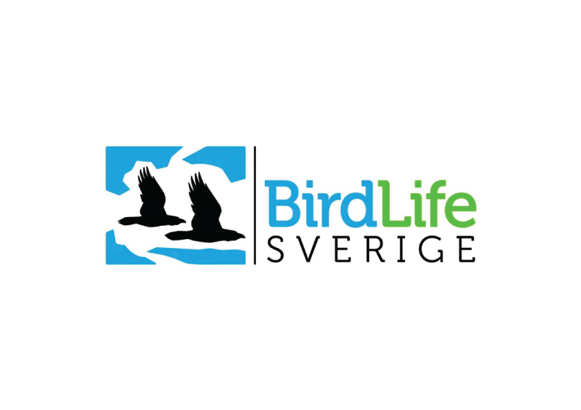 Birdlife Sweden