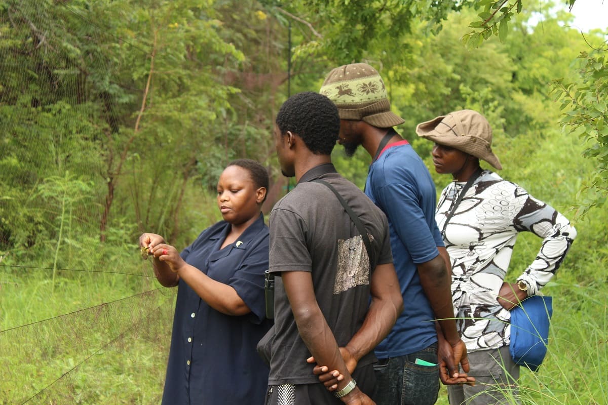 APLORI Bird Ringing (APBRING) Scheme