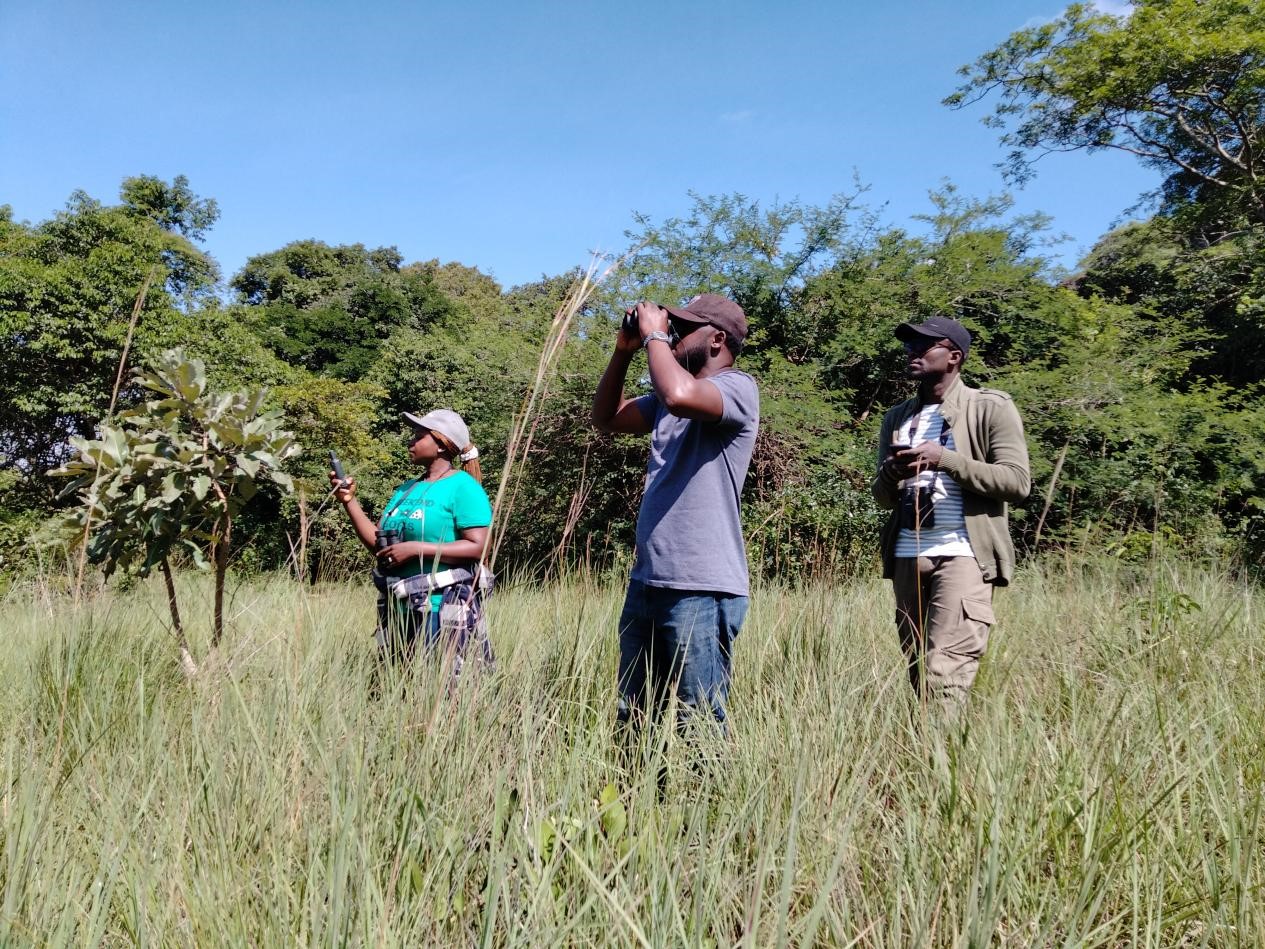 Monitoring -Line Transect Scheme