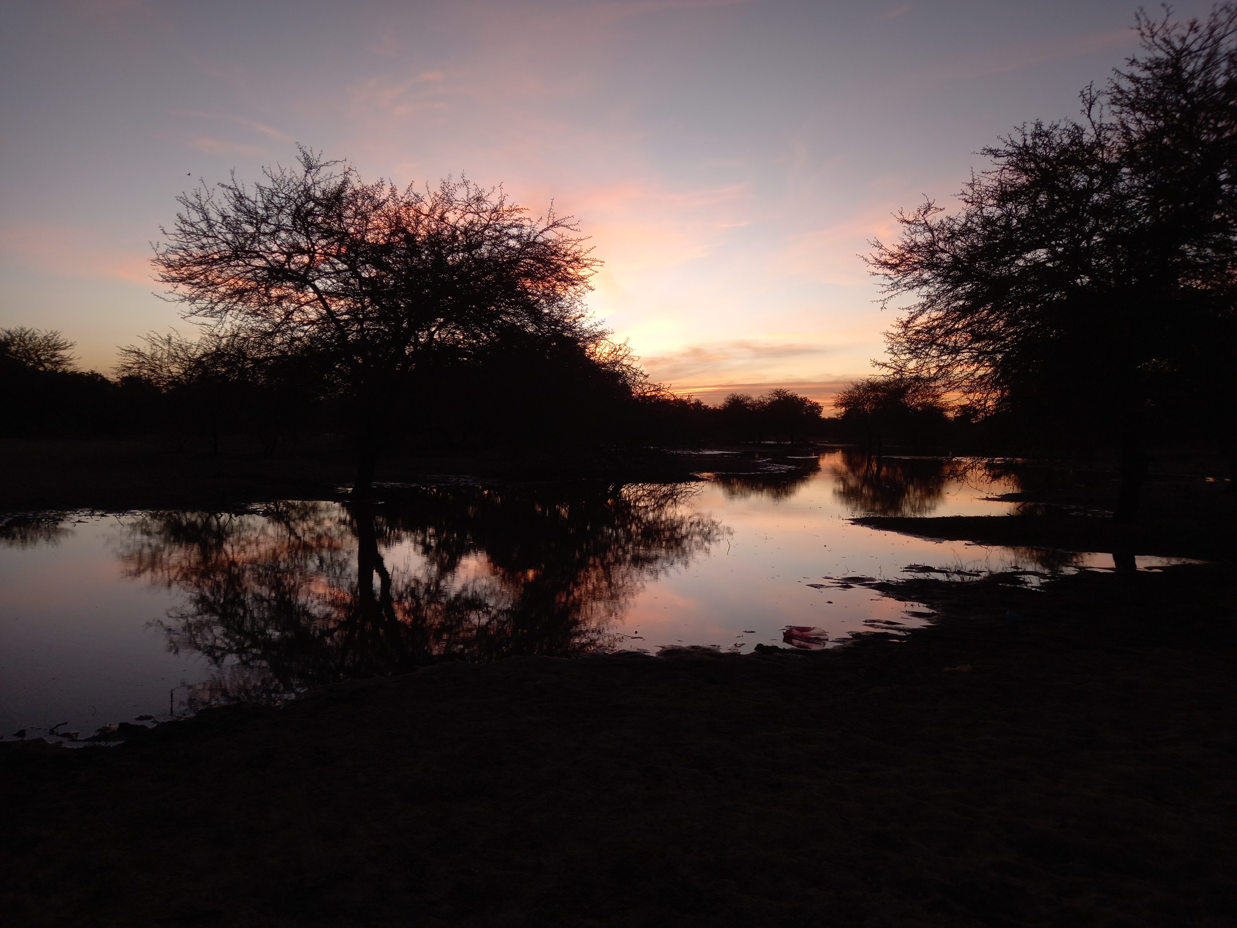 Nocturnal Ecology