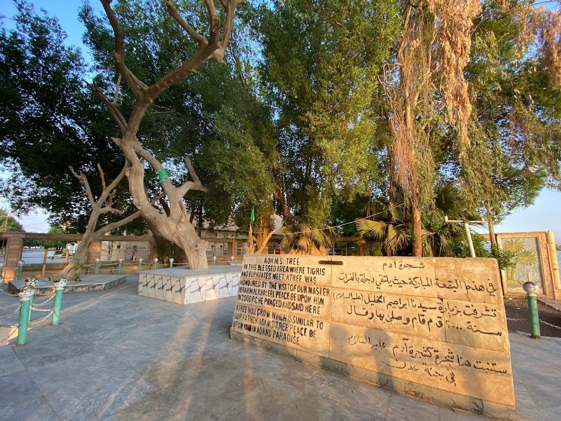 Fotografia del viaggio in Iraq, sezione 3, immagine 3