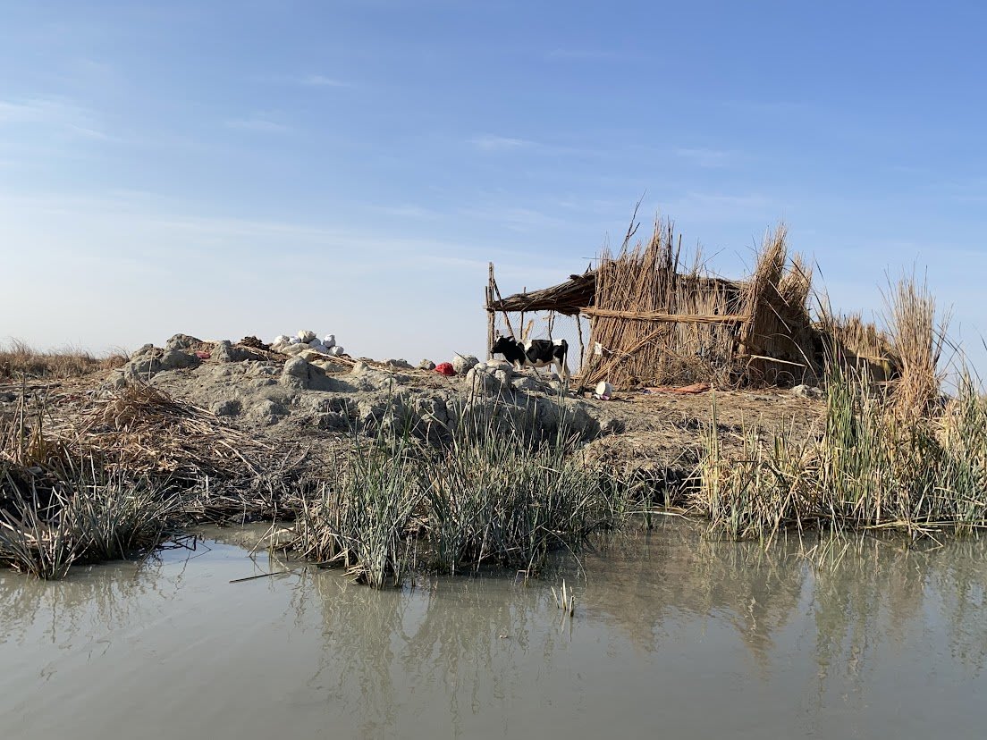 Fotografia del viaggio in Iraq, sezione 3, immagine 9