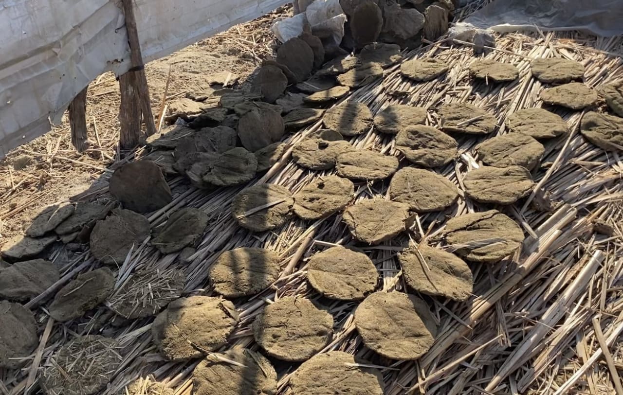 Fotografia del viaggio in Iraq, sezione 3, immagine 18