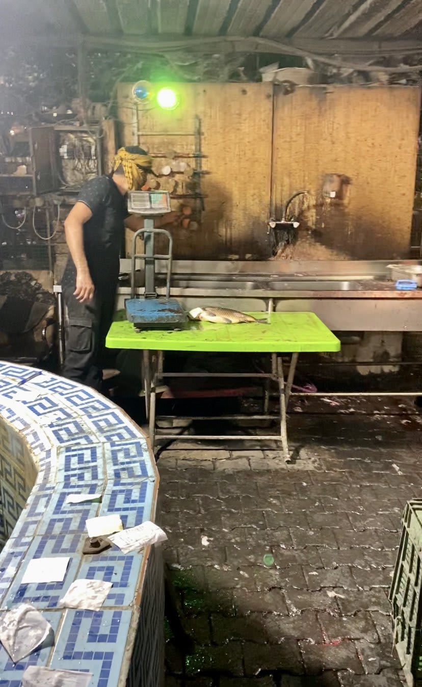 Fotografia del viaggio in Iraq, sezione 5, immagine 38