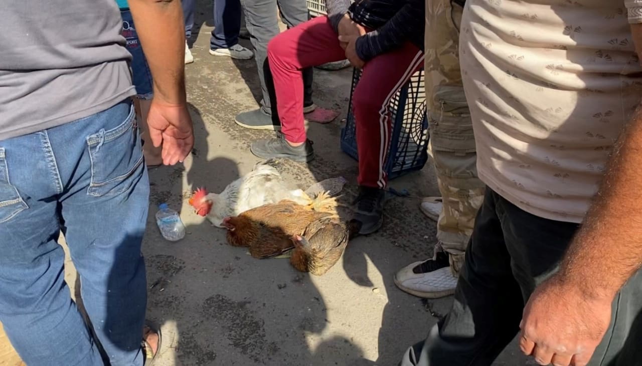 Fotografia del viaggio in Iraq, sezione 7, immagine 6