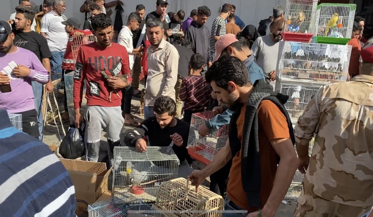 Fotografia del viaggio in Iraq, sezione 7, immagine 7