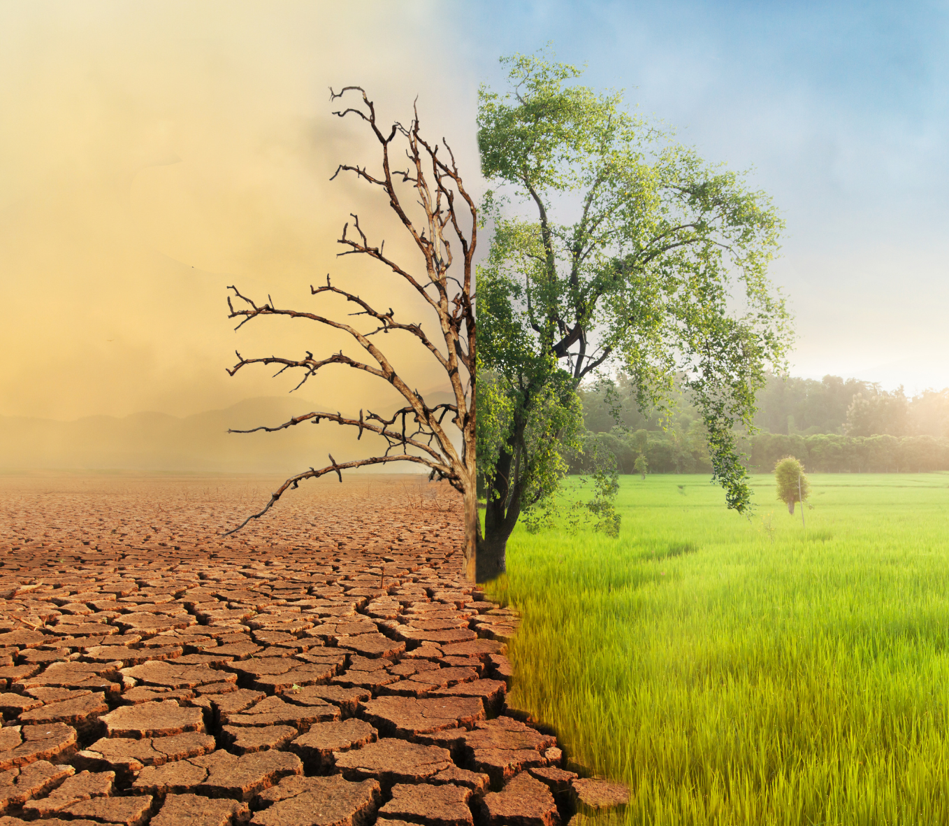 Cómo se puede utilizar la Inteligencia Artificial para mitigar el cambio climático