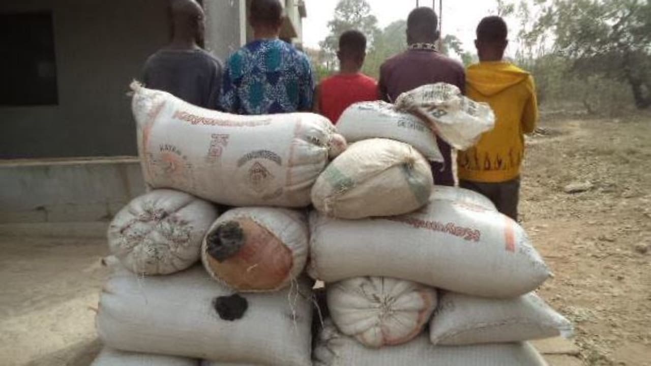 NDLEA intercepts 1,292 kilograms of illicit drug in Ondo NDLEA intercepts 1,292 kilograms of illicit drug in Ondo