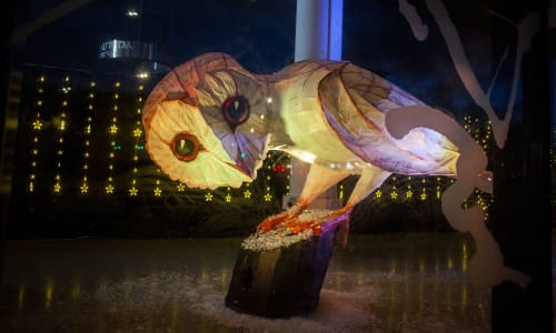 Llusern ar ffurf tylluan ar gefndir tywyll