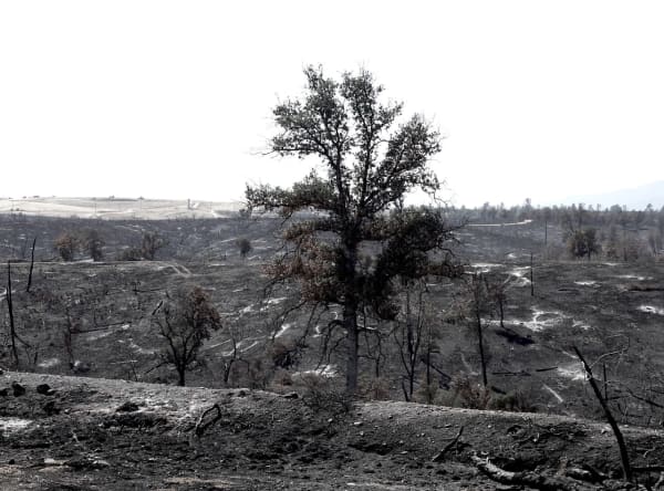 Artwork for Only Expansion