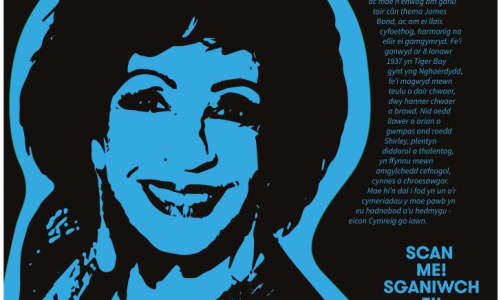 Local Welsh singer, Dame Shirley Bassey is just one of the iconic Black heroes you can see in the exhibition.