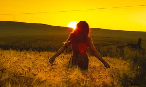 A woman walking through a cornfield at sunset