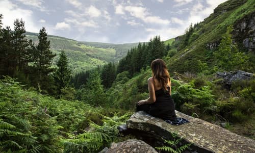 A woman sat on a rock overlooking a forest