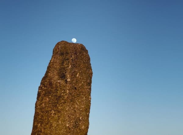 Artwork for Stone Club yn cyflwyno: A Year in a Field