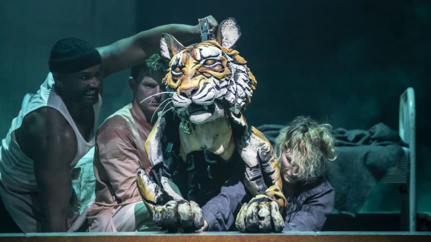 A tiger puppet crouching on the floor, operated by three puppeteers