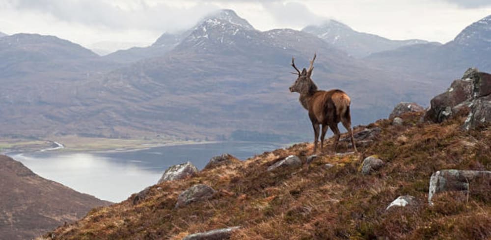 Torridon reflections