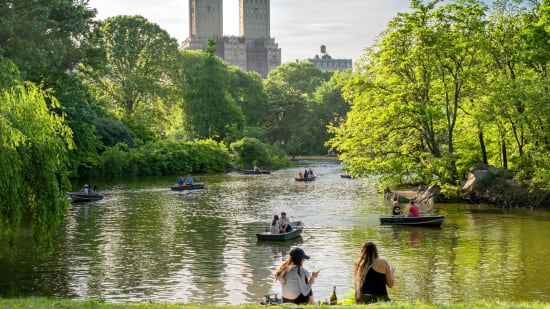 Central Park: An Urban Oasis