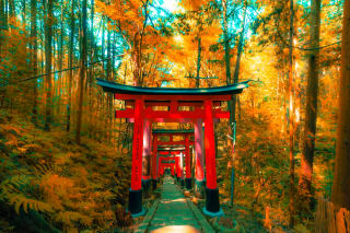 Fushimi Inari Taisha