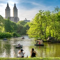 Central Park: An Urban Oasis