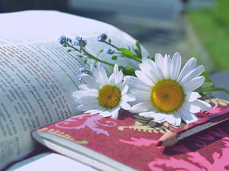 Should You Write Like You Speak