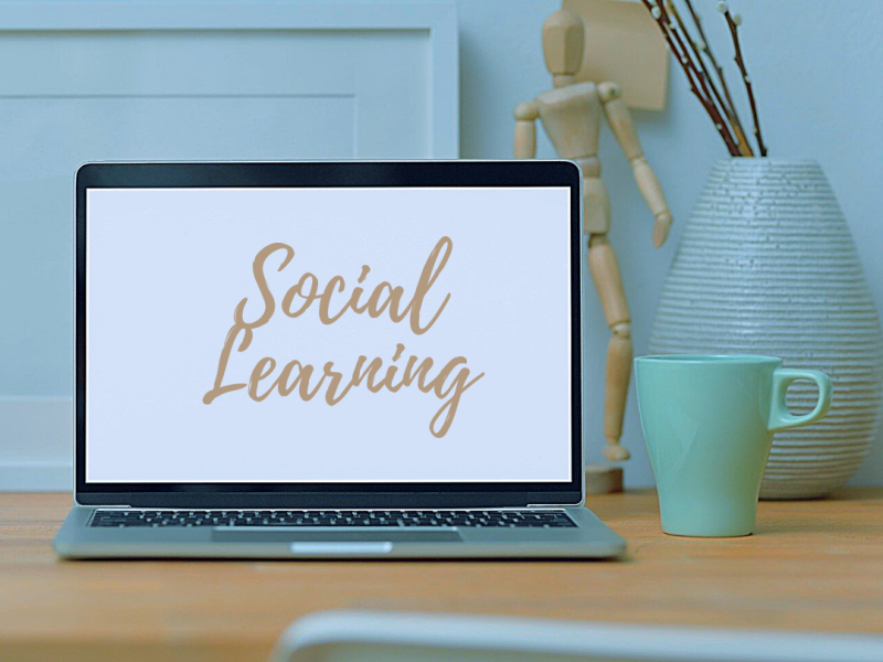 Learning Through Observation