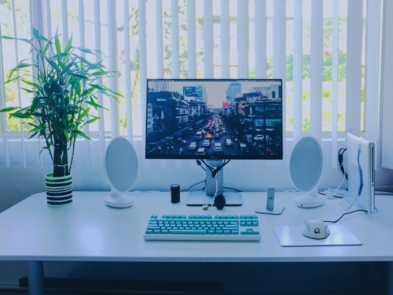 The Essential Guide to Entrepreneurship: How to Start a Business and Succeed