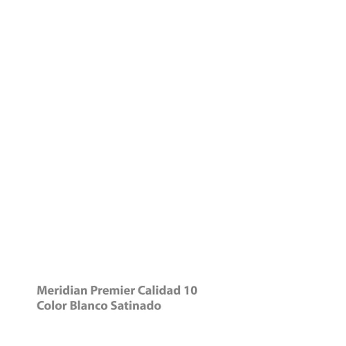 Pintura Vinil Acrílica Meridian Blanca 19 l