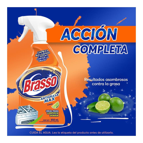 Limpiador de Acero Inoxidable 650 ml.