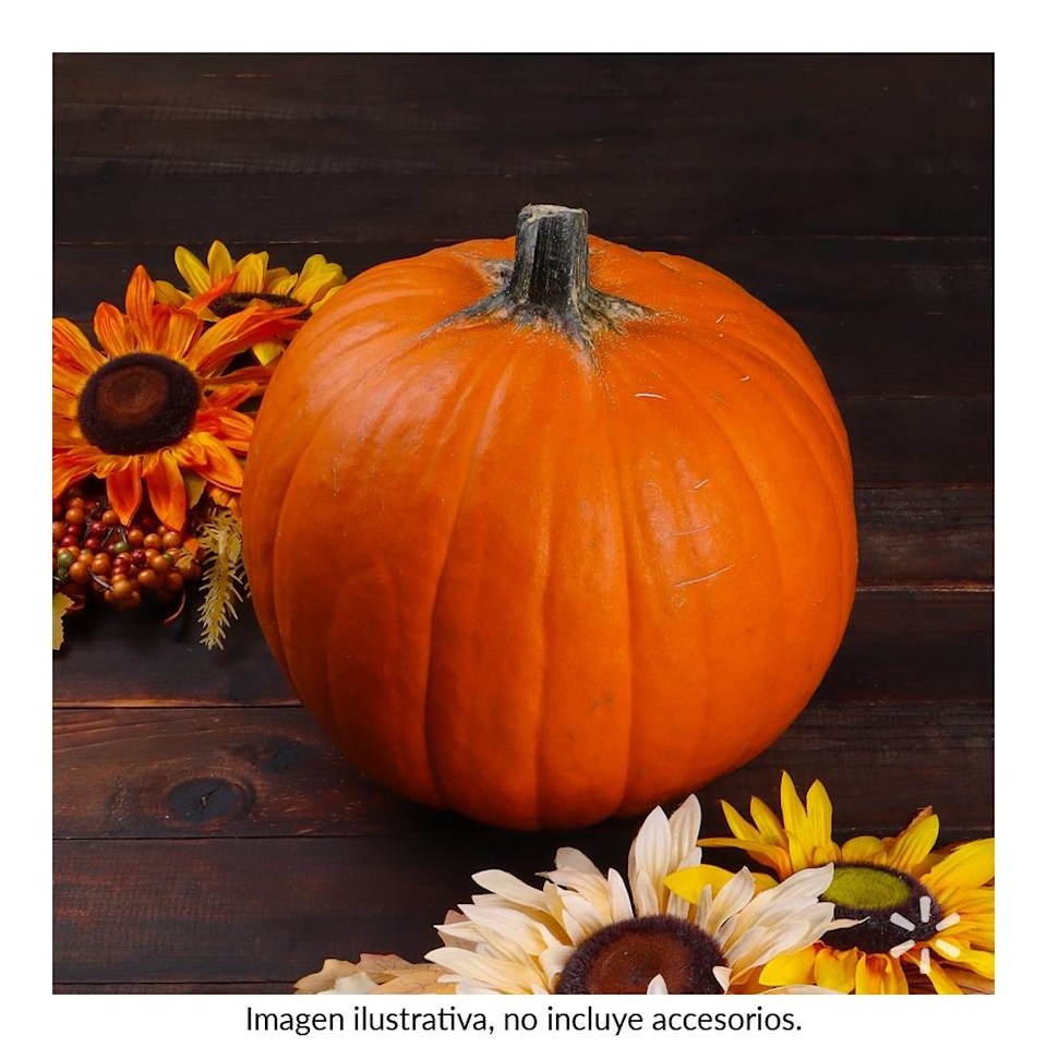 Calabaza halloween por pza | Walmart Calabaza halloween por pza | Walmart