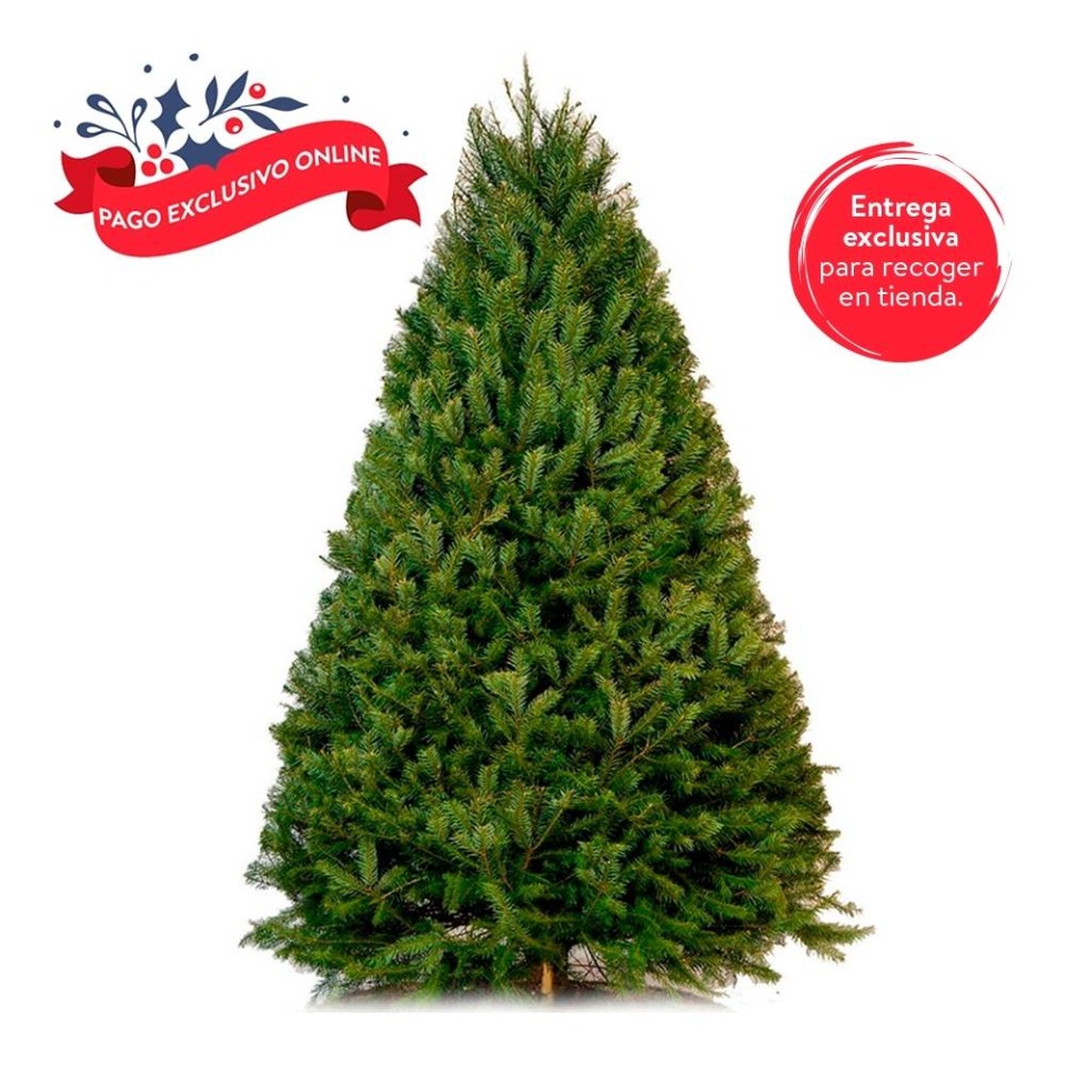 Árbol Natural Douglas 1.80 m a 2.10 m | Walmart