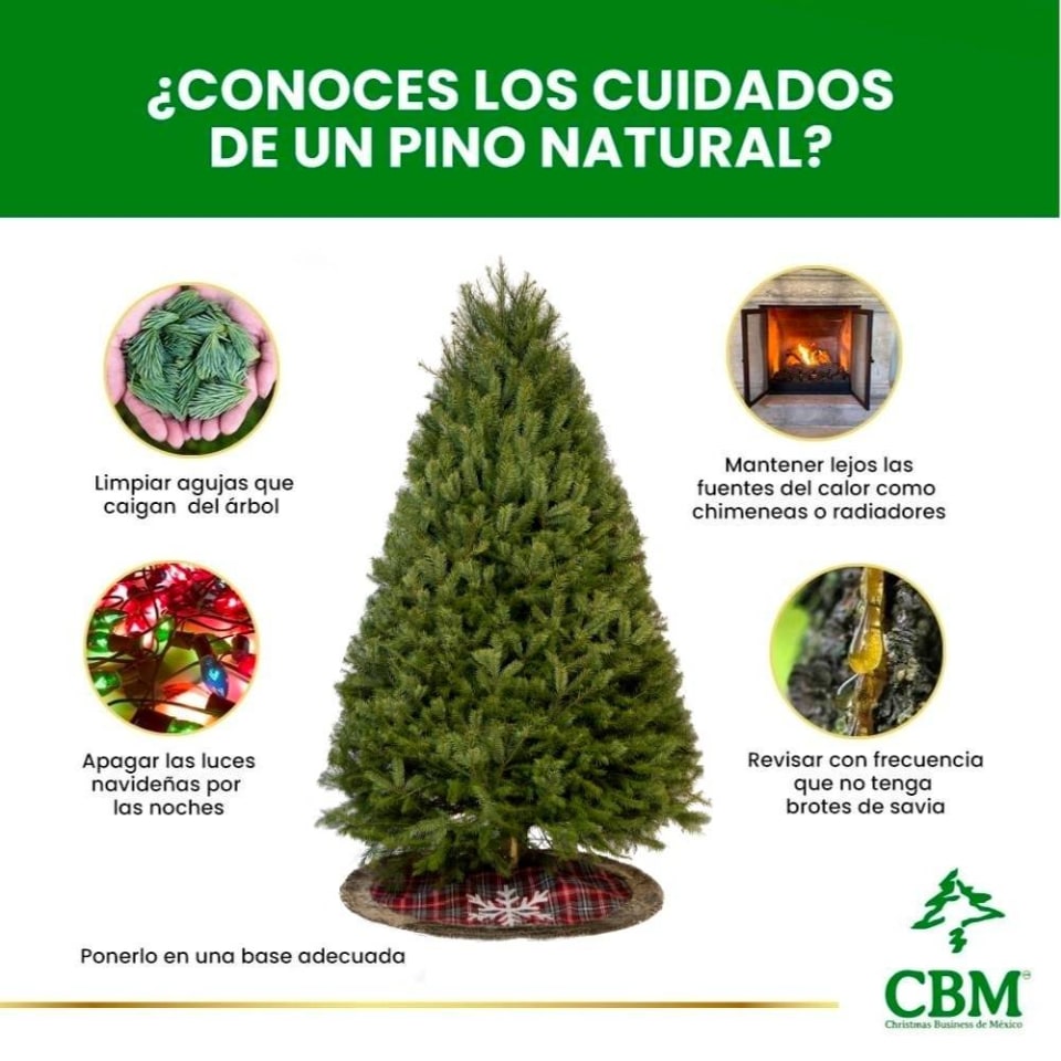 Árbol Natural Noble 1.80 m a 2.10 m | Walmart