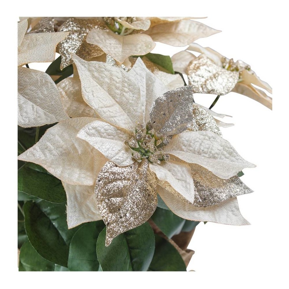 Nochebuena decorativa Holiday Time Noche buena 52 X 35 X 35 cm Champagne | Walmart Nochebuena decorativa Holiday Time Noche buena 52 X 35 X 35 cm Champagne | Walmart