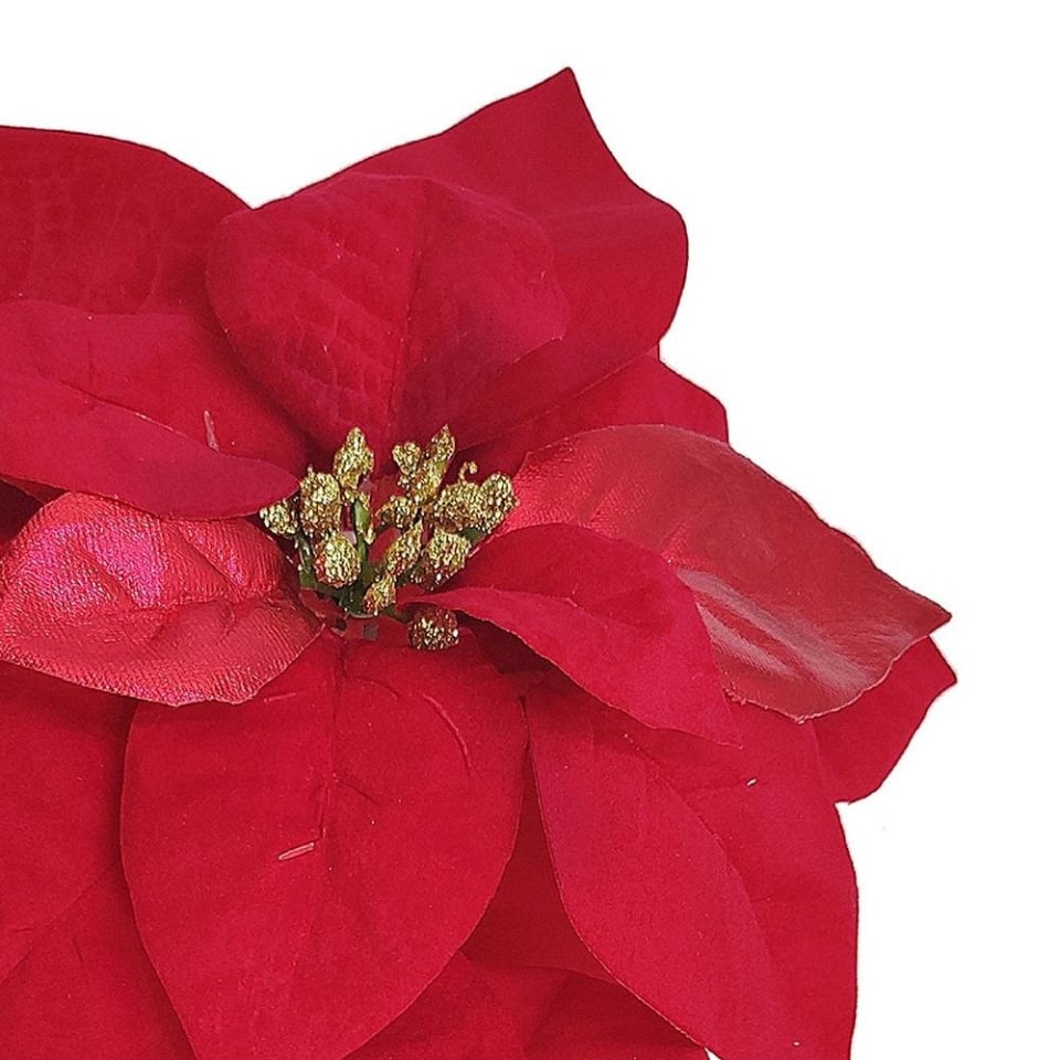 Decoración Navideña Holiday time Cabezas De Flor De Nochebuena Color Rojo  Juego De 2 Piezas | Walmart