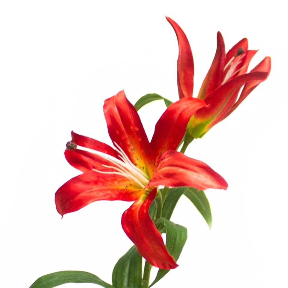 Bouquet de Flores Artificiales Mainstays Lili Roja | Walmart Bouquet de Flores Artificiales Mainstays Lili Roja | Walmart
