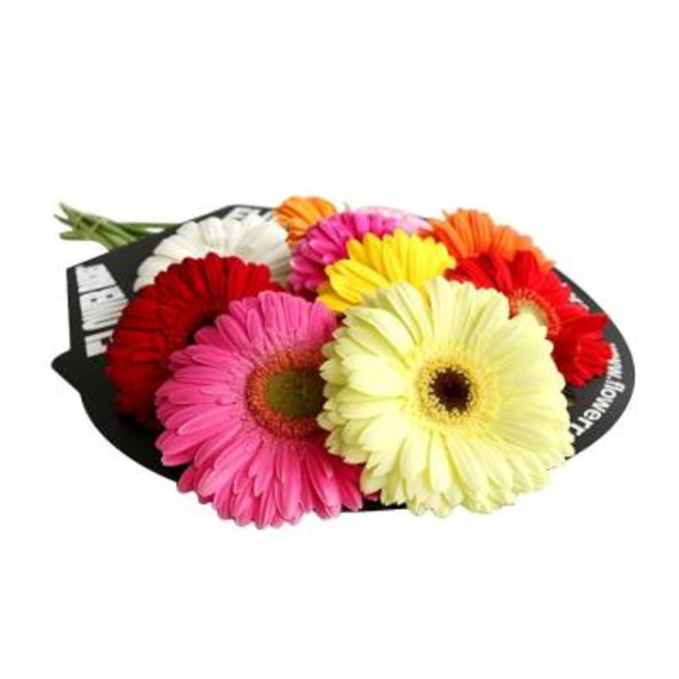 Bouquet de gerberas 10 tallos | Walmart