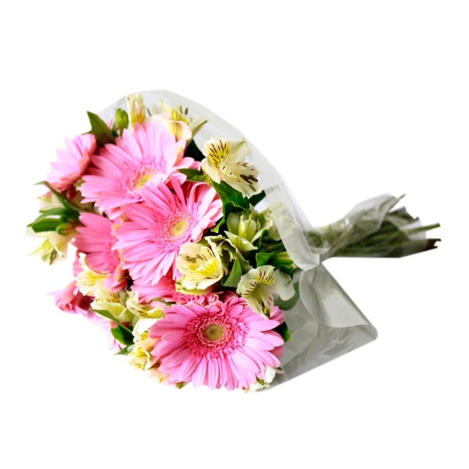 Bouquet de flores gerbera alstro 1 ramo | Walmart