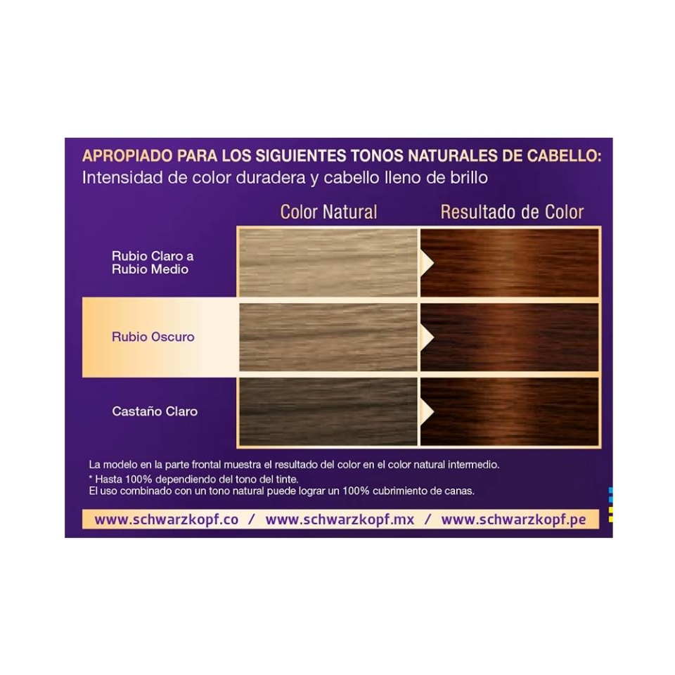 Tinte para cabello Palette intensive color creme 7-764 rubio chocolate  cobrizo | Walmart