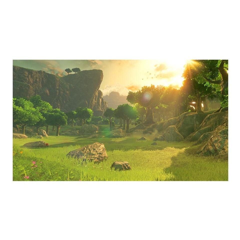 thumbnail image 5 of The Legend of Zelda Breath of the Wild Nintendo Switch Físico, 5 of 5