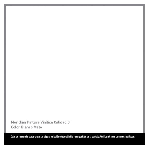 Pintura Meridian Clásica 3 Años Blanco Mate 19 Litros | Bodega Aurrera  Despensa a tu Casa