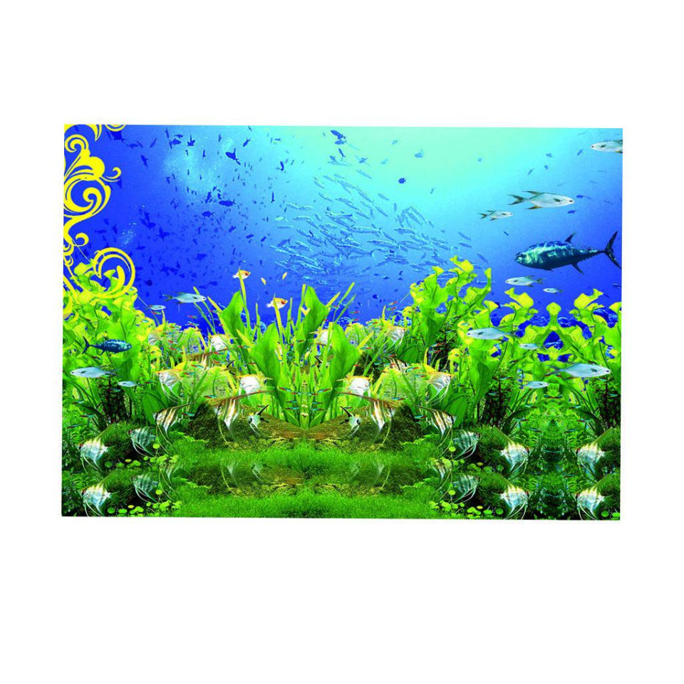 122 * 46cm Papel Tapiz de Fondo de Acuario Etiqueta engomada de Decoraciones de Pared de Tanque de Peces Etiqueta de Fondo de Acuario AMONIDA Etiqueta engomada del Tanque de Peces Los 122 * 46cm Papel Tapiz de Fondo de Acuario Etiqueta engomada de Decoraciones de Pared de Tanque de Peces Etiqueta de Fondo de Acuario AMONIDA Etiqueta engomada del Tanque de Peces Los