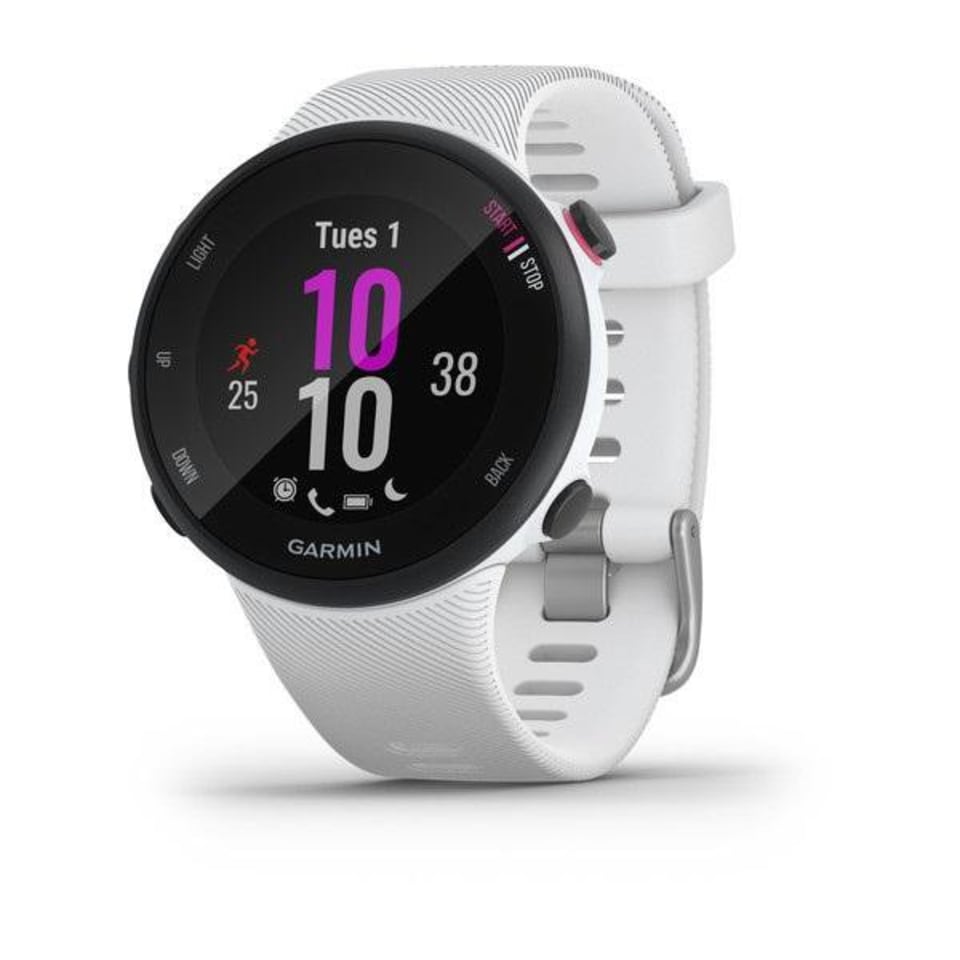 forerunner 45 39mm