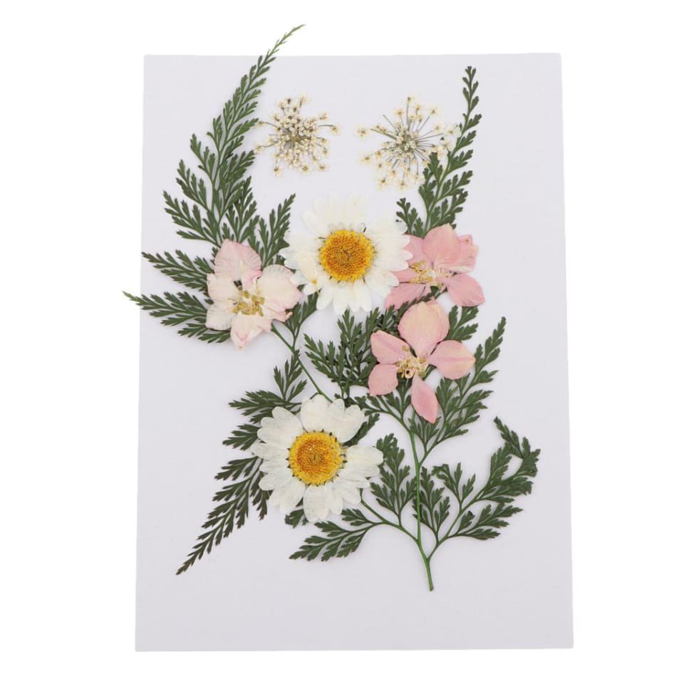 Múltiples flores secas de natural hojas das para uñas arte artesanal ve de jabón hecha a mano re Baoblaze Flores secas prensadas naturales | Walmart en línea Múltiples flores secas de natural hojas das para uñas arte artesanal ve de jabón hecha a mano re Baoblaze Flores secas prensadas naturales | Walmart en línea