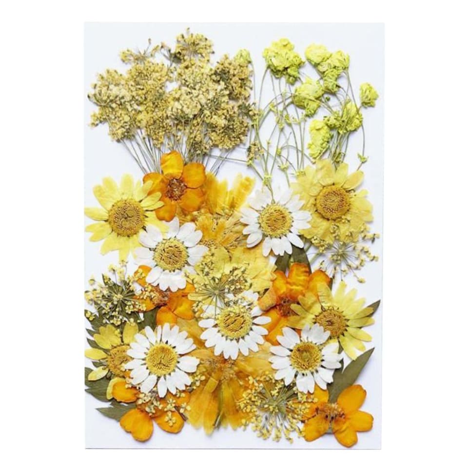 cas mezcladas prensadas para collar colgante DIY uñas manualidades fabricación decoración facial - 3 Sunnimix Flores secas prensadas | Bodega Aurrera en línea cas mezcladas prensadas para collar colgante DIY uñas manualidades fabricación decoración facial - 3 Sunnimix Flores secas prensadas | Bodega Aurrera en línea