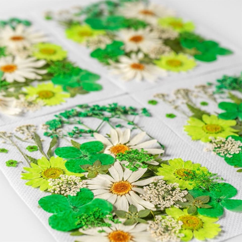 Flores secas naturales flores prensadas artísticas decoraciones de joyería de belleza postales de Inevent HA010799-02 | Walmart en línea Flores secas naturales flores prensadas artísticas decoraciones de joyería de belleza postales de Inevent HA010799-02 | Walmart en línea
