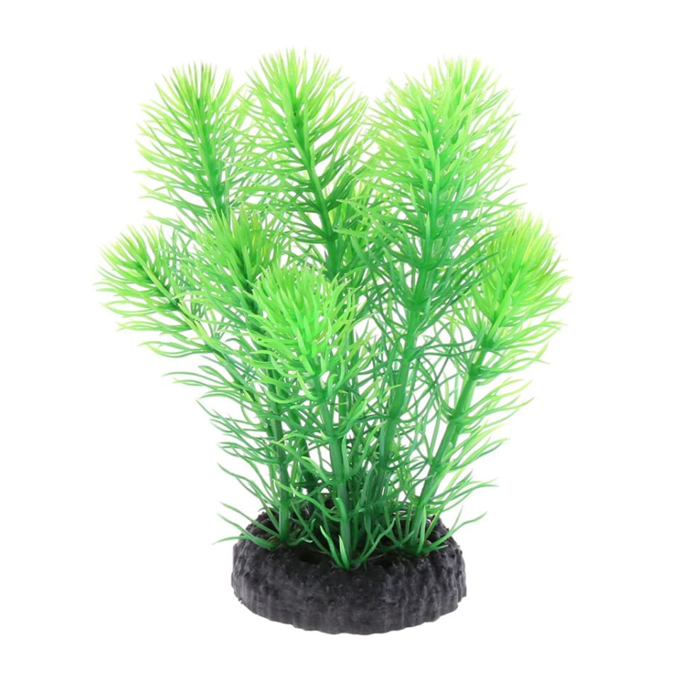 Plantas Artificiales Para Decoraciones De Acuarios De Plantas Acuáticas De  Plástico. - Verde 7x15cm Sunnimix Planta de terrarios de reptil | Walmart  en línea