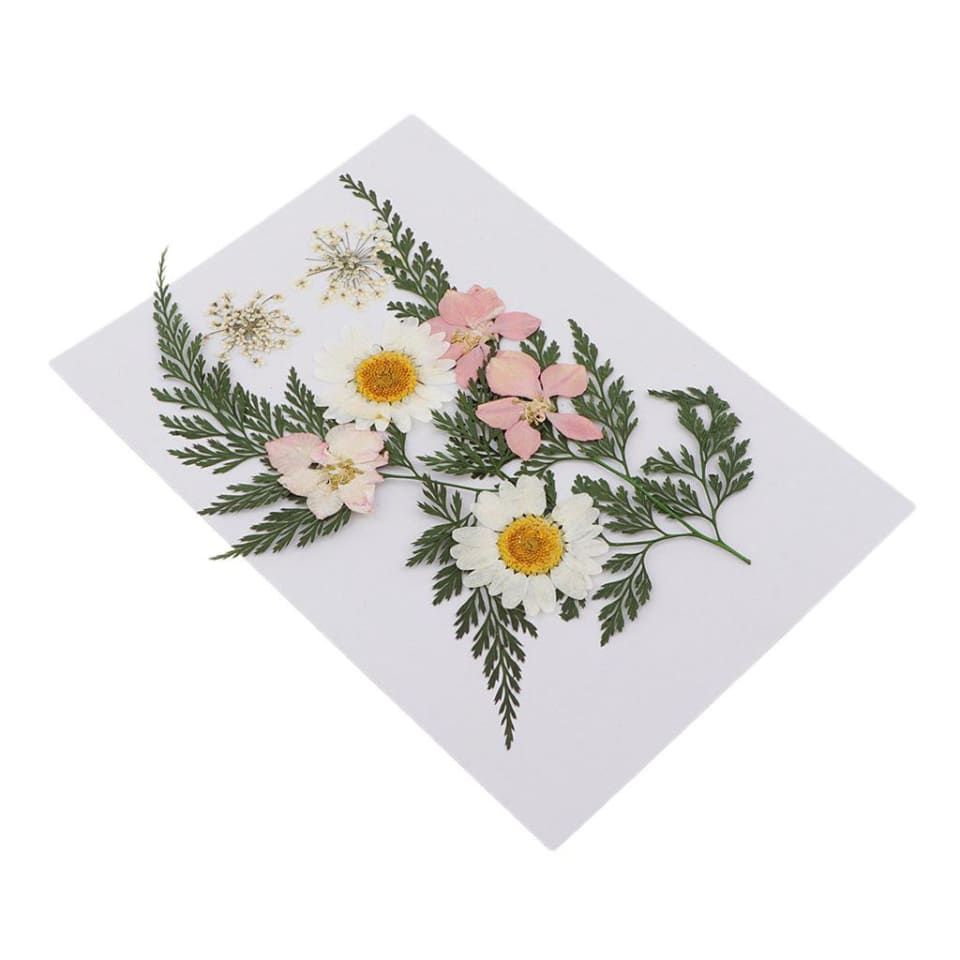 Múltiples flores secas de natural hojas das para uñas arte artesanal ve de jabón hecha a mano re Baoblaze Flores secas prensadas naturales | Walmart en línea Múltiples flores secas de natural hojas das para uñas arte artesanal ve de jabón hecha a mano re Baoblaze Flores secas prensadas naturales | Walmart en línea